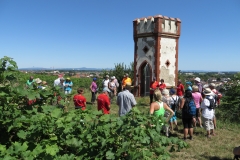 20180708_Rheinhessenwalker_Wingertstuerme_in_Rheinhessen_Osthofen_0054