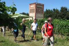 20180708_Rheinhessenwalker_Wingertstuerme_in_Rheinhessen_Osthofen_0078
