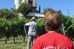 20180708_Rheinhessenwalker_Wingertstuerme_in_Rheinhessen_Osthofen_0087