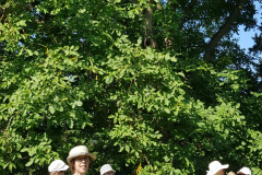 IMG-20230626-WA0003