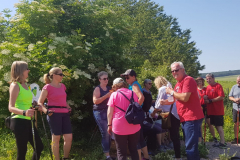 Juni 2023: Wonsheimer Sonnenbergtour